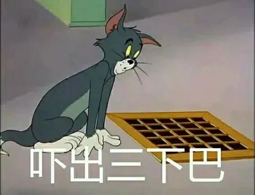 玩蛇表情包猫和老鼠