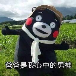  请开始表演在深圳闯红灯会滚动播放你的脸