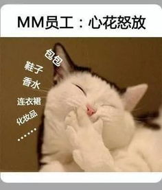  发工资时各员工表情大全,太形象了,哈哈