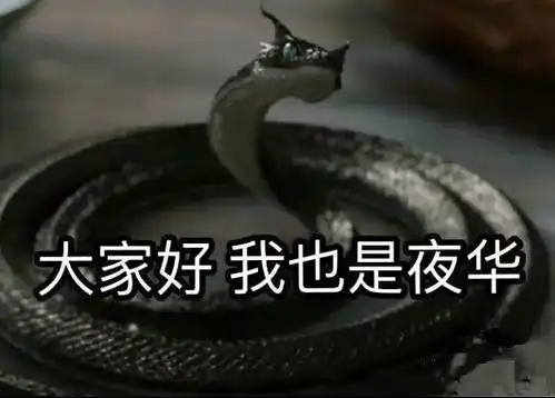  三生三世十里桃花夜华表情包大家好我是夜华表情包下载完整版腾牛下载