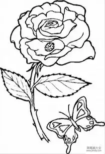  花朵图片玫瑰花简笔画