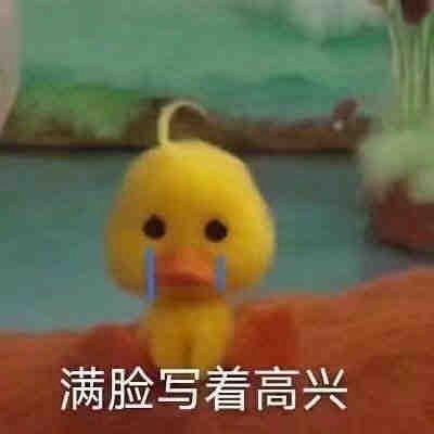 扒了你表情包财气