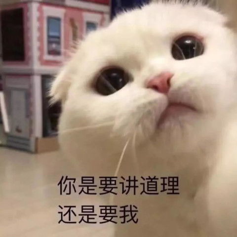 秀恩爱虐狗表情包礼物