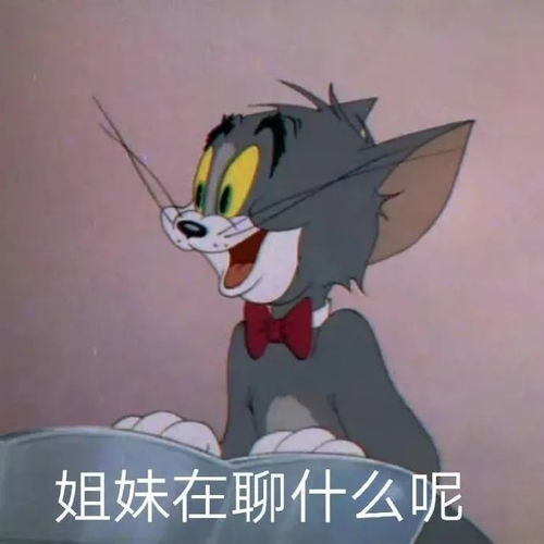  你找了很久的热门表情包