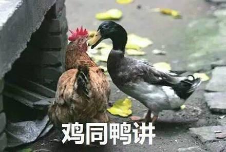  表情包我赖皮蛇都没你皮