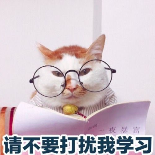  让自己绽放光芒