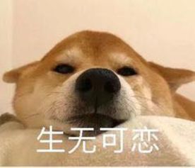  一场奇妙的旅行之杭州西湖大杂烩2