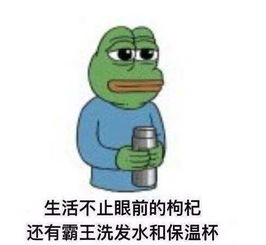  玩腻了即时战斗不如就来神雕侠侣2手游中闲逛一会吧