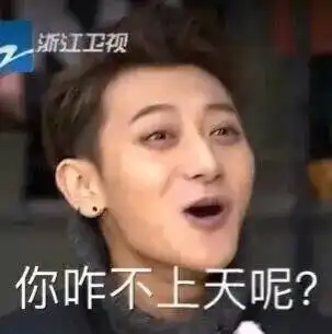  为毛业内牛逼的hr就是看不上你l辰哥词话