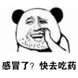  关心人的表情包姑娘在吗,你在干嘛,天气很冷多穿点