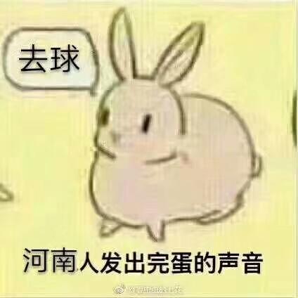  湖南湖北河南河北哪个最有发展前景