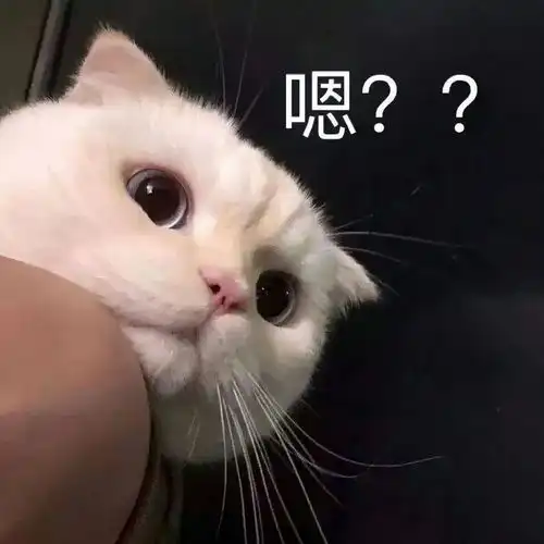 搞笑表情包更新我懂的,这就是生活 搞笑表情包更新我懂的,这就是生活