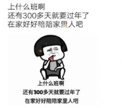  上什么班啊还有300多天就要过年了表情包