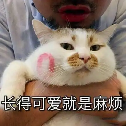 最新热门搞笑表情包图片你看天上那朵云,像不像我借你的100元 最新热门搞笑表情包图片你看天上那朵云,像不像我借你的100元