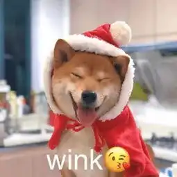 自称英韩德中四国混血的网红,鼻子假到都能滑滑梯了 自称英韩德中四国混血的网红,鼻子假到都能滑滑梯了