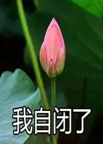 我想开了沙雕表情包我自闭了荷花表情包下载乐游网游戏下载 我想开了沙雕表情包我自闭了荷花表情包下载乐游网游戏下载