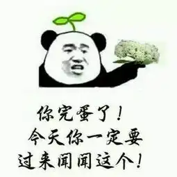  上海的石楠花开了空气中弥漫着一种不可描述的味道...