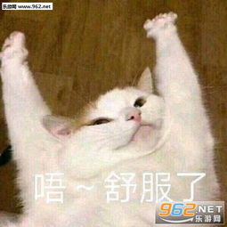  极度不适表情包内容引起舒适表情包下载乐游网游戏下载