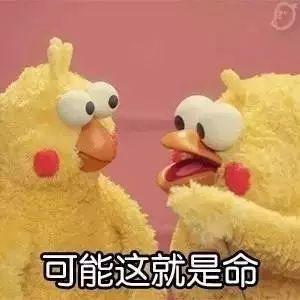 小曲奇表情包微信早安