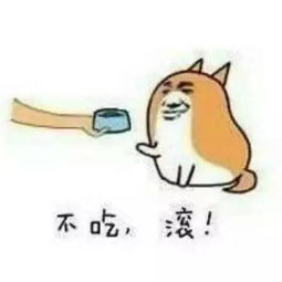  用一个表情包形容你的专业,广告设计全躺枪