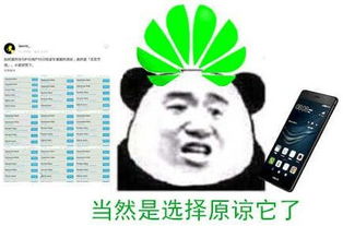  原谅帽是什么梗原谅帽表情包分享