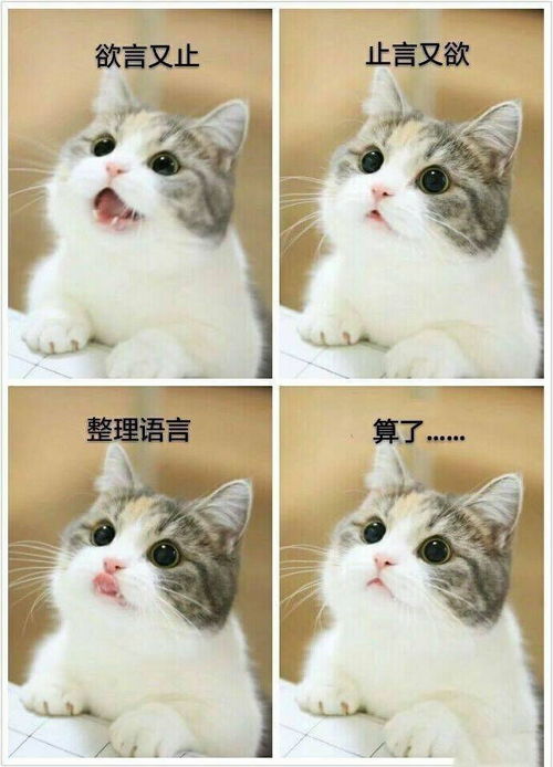  家里有蟑螂想灭的,给你们安利个东西,亲测有效