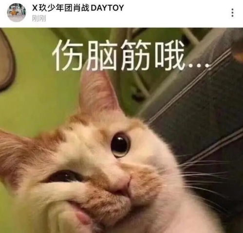  肖战第一场话剧即将演出,他的父母亲自前往武汉,为他加油打气