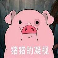 粉红色的猪表情包表情包