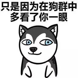  内含50元福利和福建人谈恋爱是种什么感觉文末有ipad免费抽