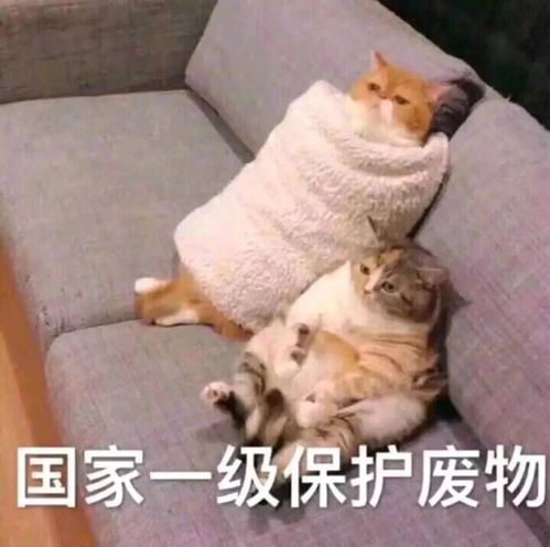  疫情期间一动不动,爸妈都要憋疯了这3招让全家一起动起来