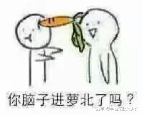 举栗子表情包真幽默
