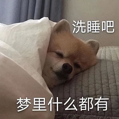 股民表情包两市