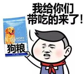 撩妹表情包吧小包总