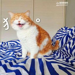  创业获奖,一周年了,海外财富网都经历了什么