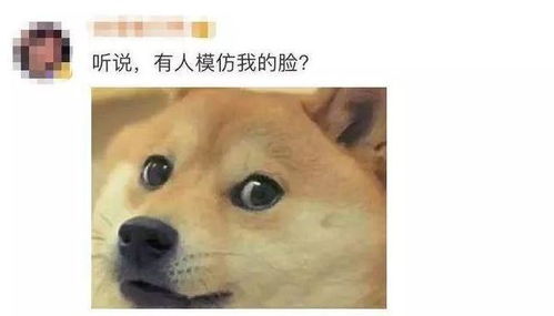 乱码狗头表情包微信