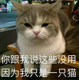  让人感慨的不止是他十几年没变过的脸,还有真正正正的零差评体质