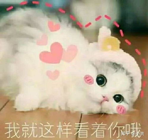  如何找到淘宝优惠券