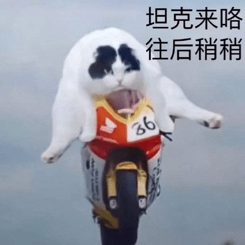  明明是读书的年纪咋偏偏光在沙雕这方面大展身手了