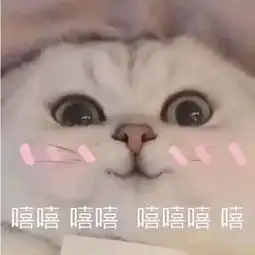 惠享派带你聊八卦和娱乐圈顶流谈恋爱是一种什么样的体验 惠享派带你聊八卦和娱乐圈顶流谈恋爱是一种什么样的体验