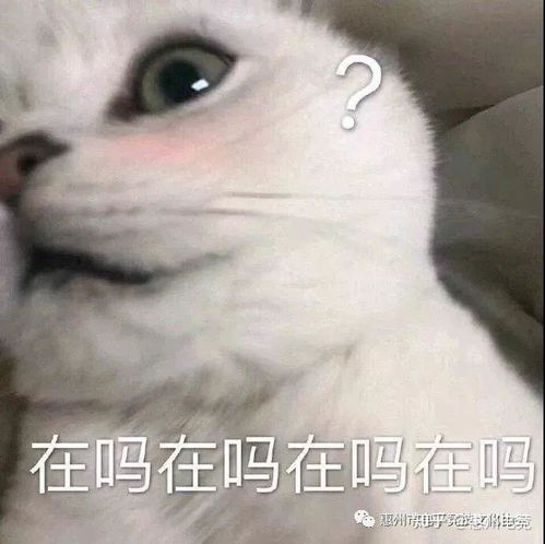  惠州电竞惠州市第二届电子竞技锦标赛即将震撼启动