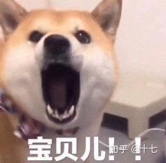  德华安顾保险公司工作怎么样