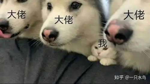  有没有可爱的求大佬带打游戏的表情包
