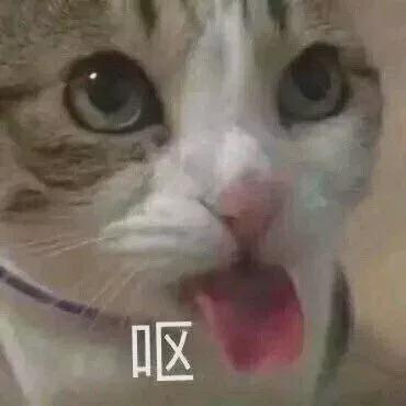 主播暮霭岛国小电影里的沙雕剧情,你看过几个