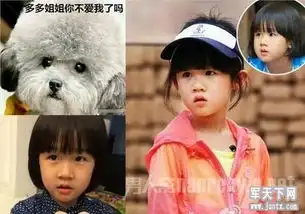 牛头梗孙红雷对比图孙红雷长得也太像牛头梗了2 牛头梗孙红雷对比图孙红雷长得也太像牛头梗了2