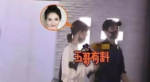  恋爱强过萧亚轩,从邓伦到贾乃亮,金晨靠什么在情海中乘风破浪