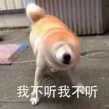  人类养宠史喵喵汪汪到嘎嘎青晚报