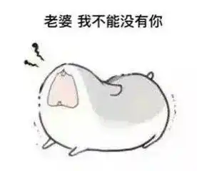 开心一刻哄老婆必备表情包你值得拥有 开心一刻哄老婆必备表情包你值得拥有