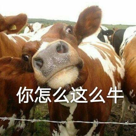  50个又贱又骚气的表情包,快收图