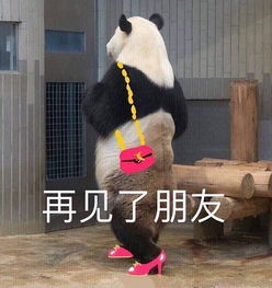  她,真正做到了什么叫做视金钱为粪土