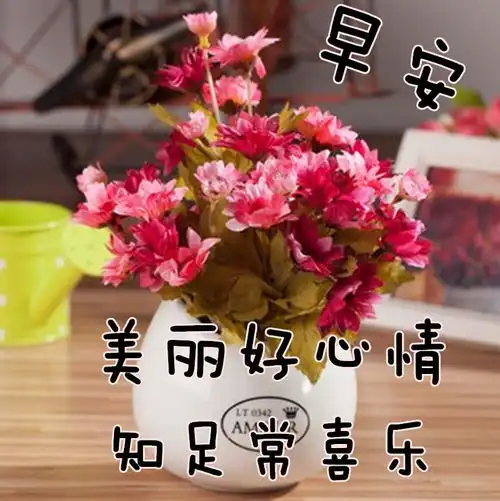 5月29日最漂亮早上好动态表情图片大全,动图美图大全 5月29日最漂亮早上好动态表情图片大全,动图美图大全